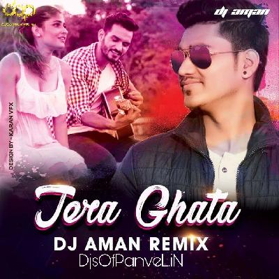 Tera Ghata - DJ AMAN Remix